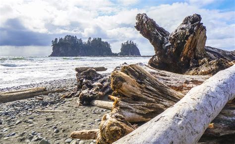 Quileute Tribe Uses the Forest For Ancient Traditions | Rayonier Stories