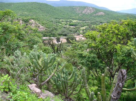 Carretera Vieja Rioverde A Slp Sierra De Lvarez M X Flickr