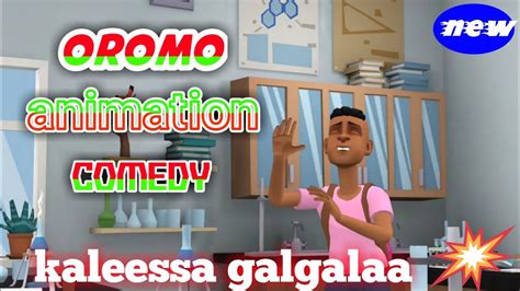 NEW AFAAN OROMOO COMEDY "kaleessa galgalaa" - YouTube