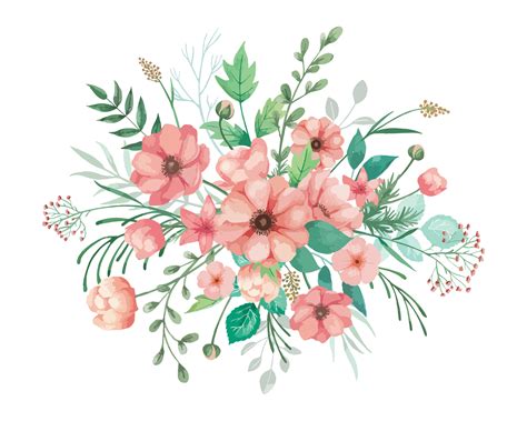 Watercolor Coral Anemone Flowers Bouquet Illustration 11098193 PNG