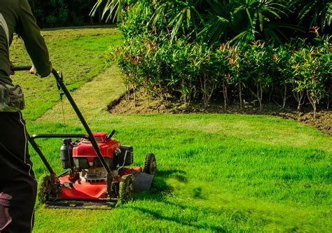 「草刈り機」と「芝刈り機」の違いとは？わかりやすく解説 – スッキリ