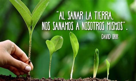 Al Sanar La Tierra Nos Sanamos A Nosotros Mismos Frases Earth