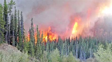 Quebec Man Who Blamed 2023 Wildfires On Government Pleads Guilty To