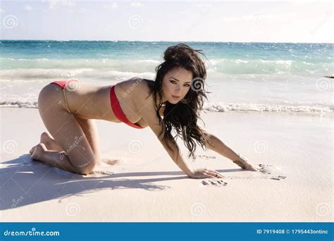 Brunette Model In Red Bikini Stock Photo Image Of Asian Brunette 7919408