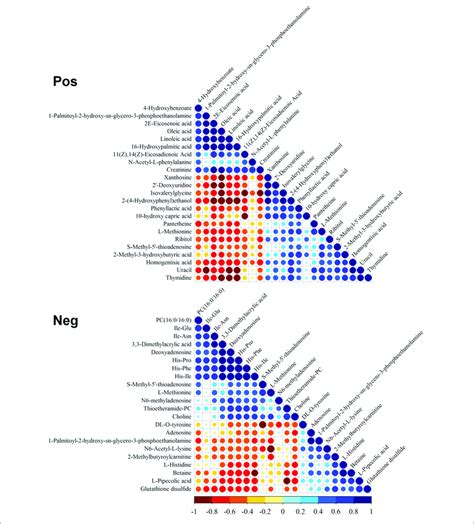 Correlation Of Differential Metabolites Pos Positive Mode Neg