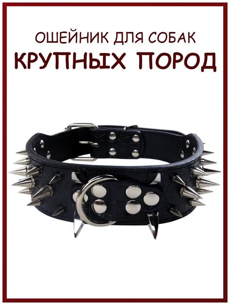 Ошейник с шипами внутри для людей — купить по низкой цене на Яндекс Маркете
