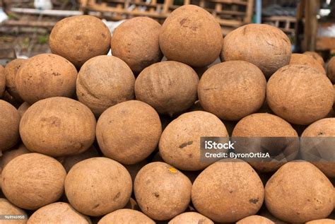 Fruit Sale Mamey Mammea Americana L On The Road Guatemala Stock Photo