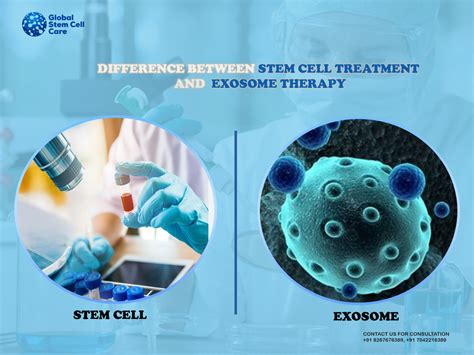 Exosomes The Future Of Regenerative Medicine Ninjathlete