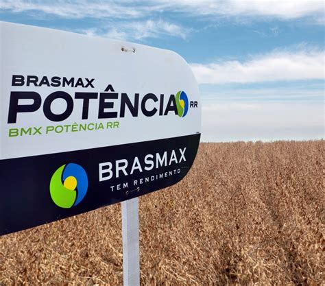 Brasmax Completa 10 Anos E Celebra Conquistas Na Agricultura BRASMAX