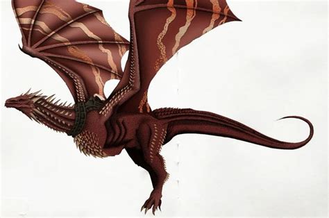 Drogon Game Of Thrones Game Of Thrones Dragons Game Of Thrones Art