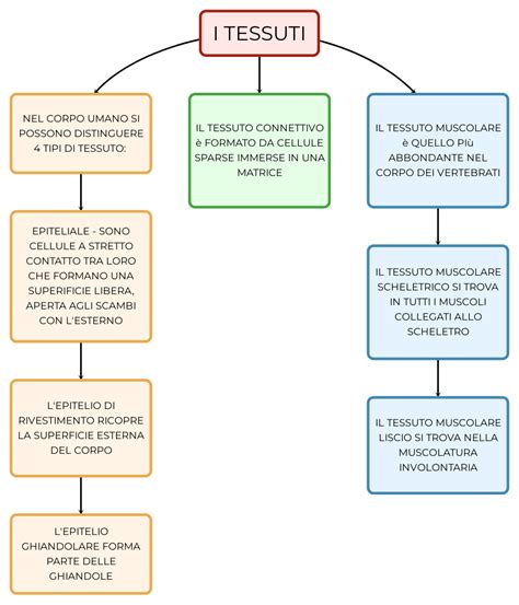 I Tessuti Mappa E Riassunto