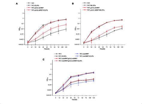 Growth Curves Of Wt Overexpression Knockout And Complementary