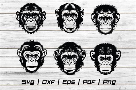 Chimpanzee Monkey Svg Vector Cut File Illustration Par