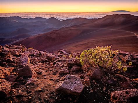 Hawaiian Volcanoes: Big Island of Hawaii, Maui - Grazy Goat