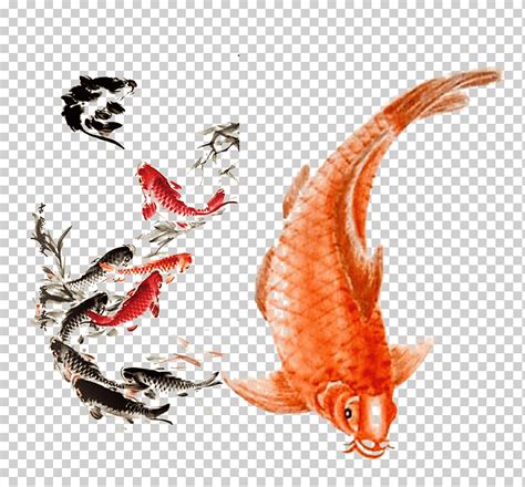 Ilustración de peces koi pintura de lavado con tinta auratus koi