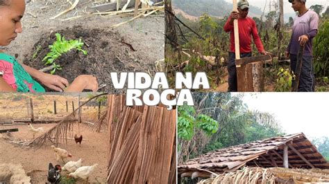 Vivendo Na Simplicidade Aqui Na Ro A Cuidei Da Horta E Fomos Tirar