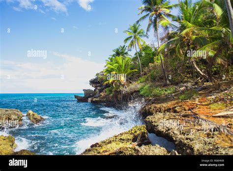 Wild Tropical Rocky Shore Bay Lagoon Sea Splash Green Palm Trees On