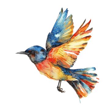 Watercolor Birds In Flight PNG Transparent Images Free Download ...