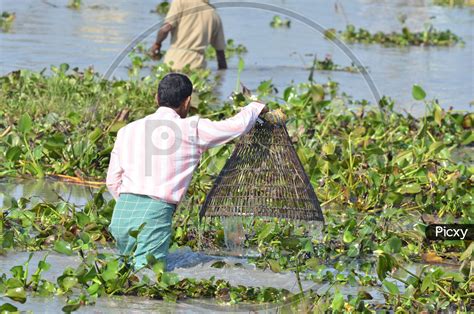 Image Of Indian Villagers Participate In Community Fishing During The