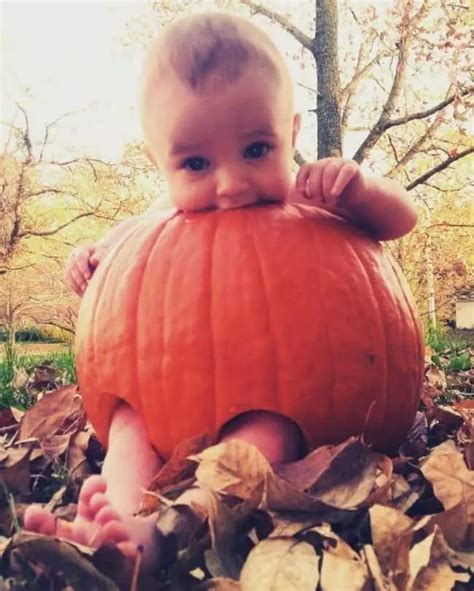 These Baby In A Pumpkin Photoshoots Are The Most Adorable Fall