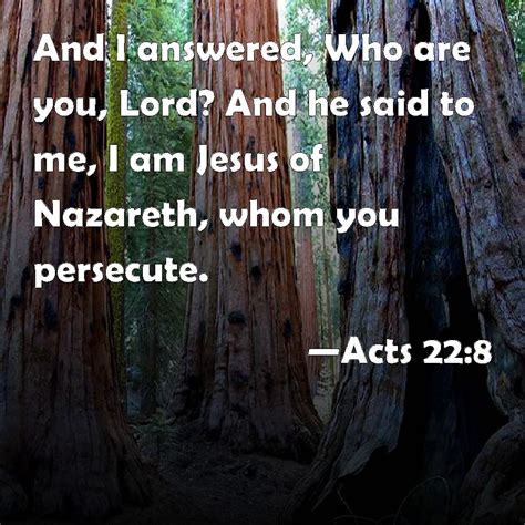 Acts 228 And I Answered Who Are You Lord And He Said To Me I Am