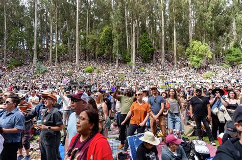 Experience the Best of Live Music in San Francisco's Iconic Stern Grove Park 15
