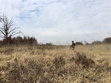 Baraggia Biellese In E Bike La Piccola Savana Piemontese Esperienza