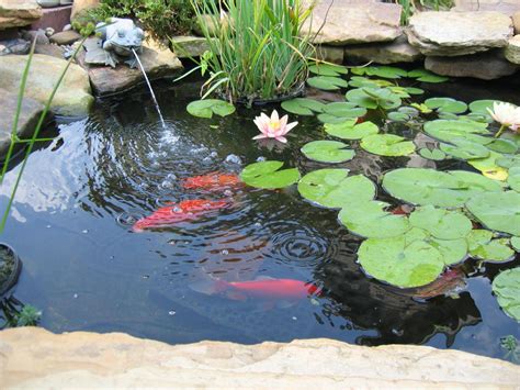 Fish Pond Fountain | Fountain Design Ideas