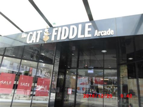 The Cat Fiddle Arcade Hobart Tas