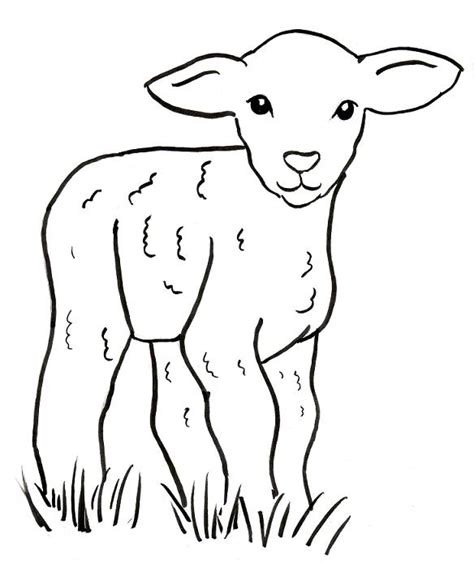 Lamb Coloring Page Art Starts