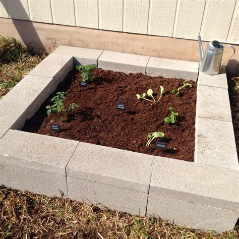 Diy Cinder Block Raised Garden Bed Fab Everyday