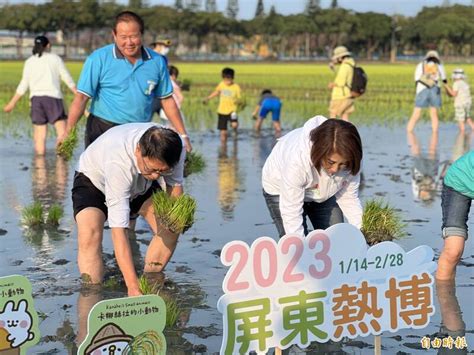 超可愛！2023屏東熱博彩稻插秧 「卡娜赫拉的小動物」來了 屏東縣 自由時報電子報