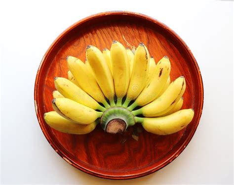 The Lady Finger Bananas is Sweet Stock Photo - Image of beautiful ...