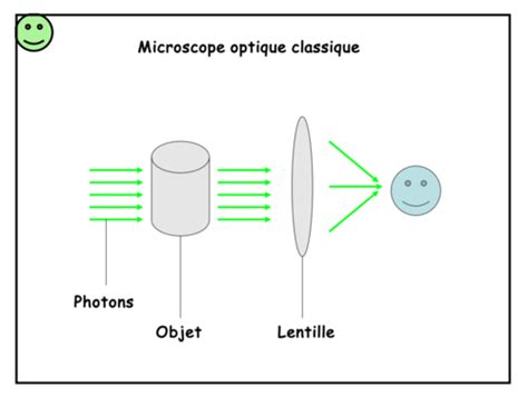 Construction Cellulaire Cartes Quizlet