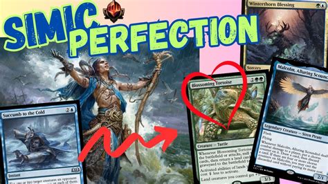 SIMIC STUN RUN Ramp Stun Counters And BIG HITS Mythic Rank