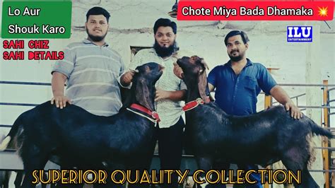 Superior Quality Collection Reasonable Rate Lo Aur Shouk Karo Chote