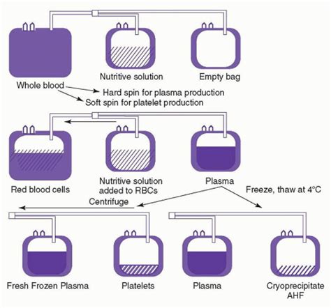 Cryoprecipitate Preparation