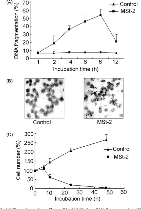 Figure From Mechanism Of Apoptosis Induced By A Newly Synthesized