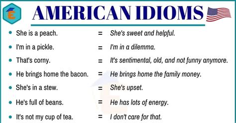 20+ Important American Idioms with Example Sentences - English Study Online