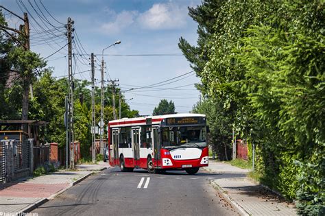 Fotogaleria Transportowa Jelcz M121I3 356