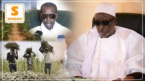 Champs Khelcom Serigne Cheikh Saliou Mback Donne Rendez Vous Le