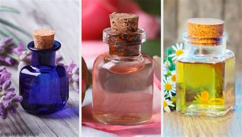 Los Mejores Aceites Esenciales Para La Belleza Mejor Con Salud