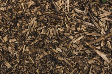 Landscaping Basics All You Need To Know About Mulch Classic