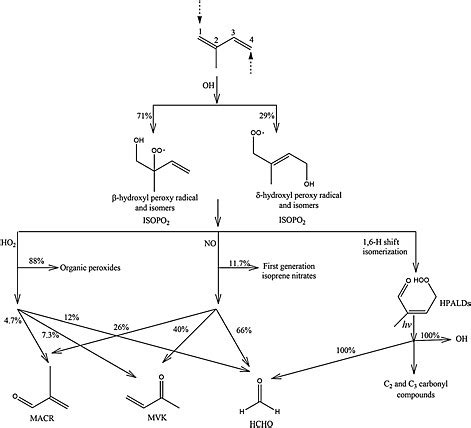 Schematic Of The First Stage Of The Isoprene Oxidation Mechanism