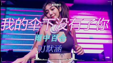 雨中百合 我的伞下没有了你 Dj默涵 Funky Rmx 2023 热门dj歌单 抖音 重低音 劲爆 车载 Youtube