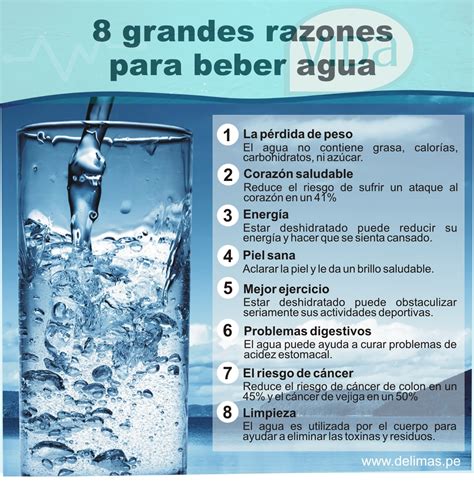 El Agua Y Sus Beneficios Beneficios De Tomar Agua Beneficios De Porn