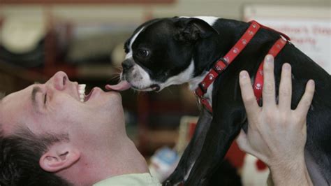 Una buena razón para dejar que tu perro te llene de besos