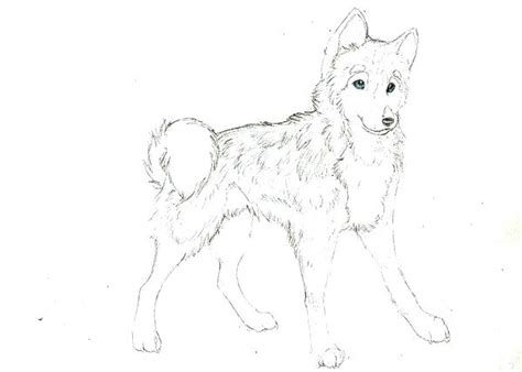 Husky Dog Coloring Pages Realistic Coloring Pages