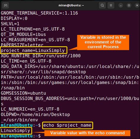 How To Export Environment Variables With Bash [4 Examples] Linuxsimply