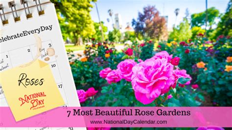 Most Beautiful Rose Gardens In The Us National Day Calendar